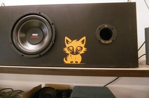 SubwooferBitlairCat.jpg