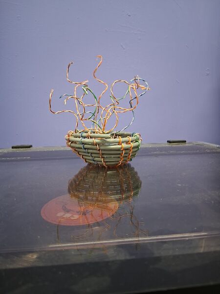 Bestand:Mini Kwal.jpg